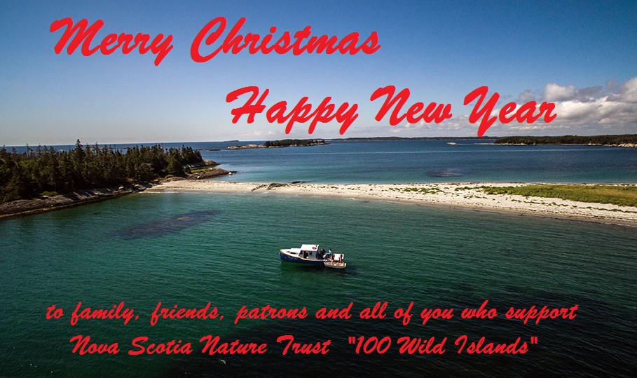 Merry Christmas and a Happy New Year Murphy