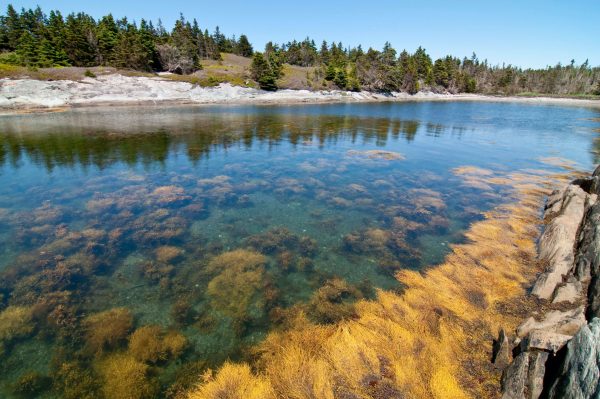 A tranquil cove among the 100 Wild Islands
